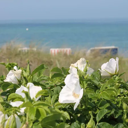 Comfortable In Mecklenburg-cispomerania ,near Beach * Ostseebad Kühlungsborn